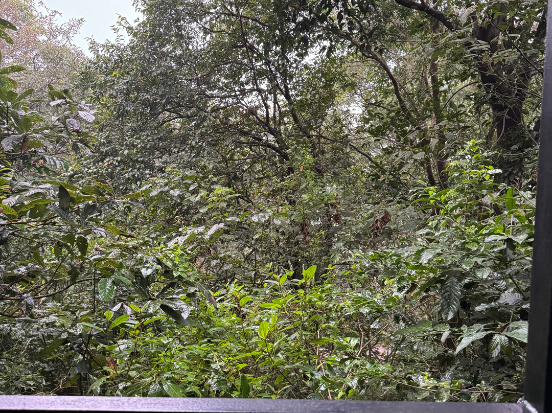 瓦亚纳德野外雨林旅馆-CGH地球酒店主图