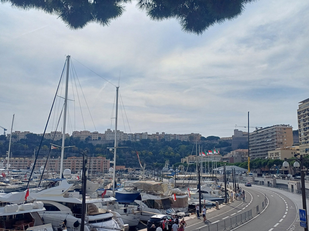Port Hercule-蒙特卡洛必去景点