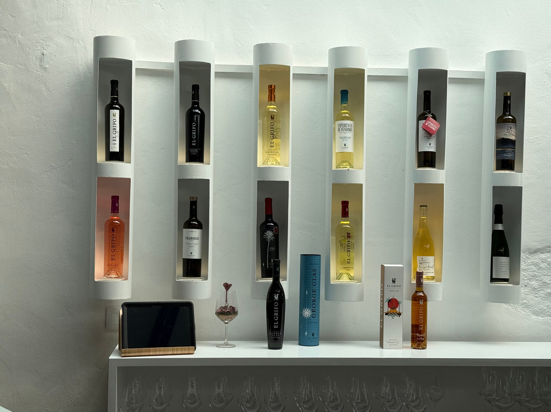 El Grifo - Museo del Vino-San Bartolome必去景点