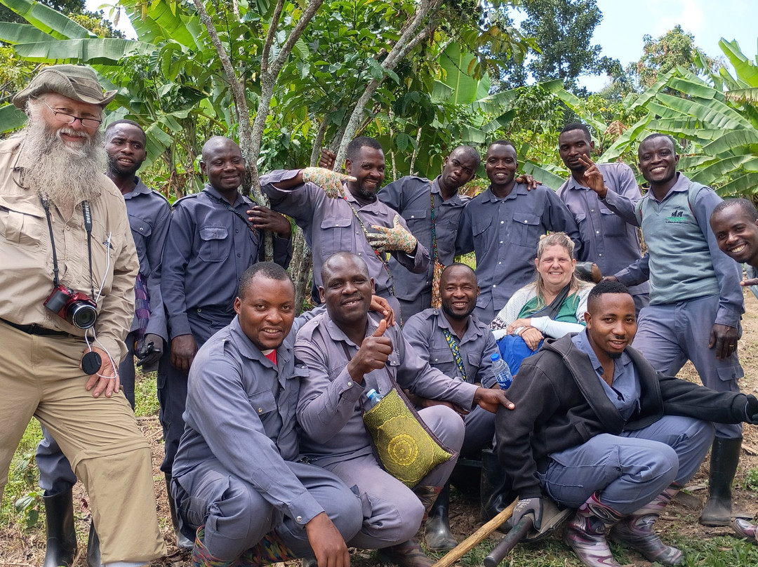 Bwindi Impenetrable Forest-Western Region必去景点