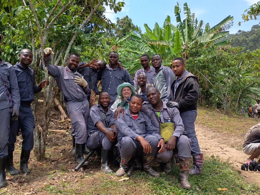Bwindi Impenetrable Forest-Western Region必去景点