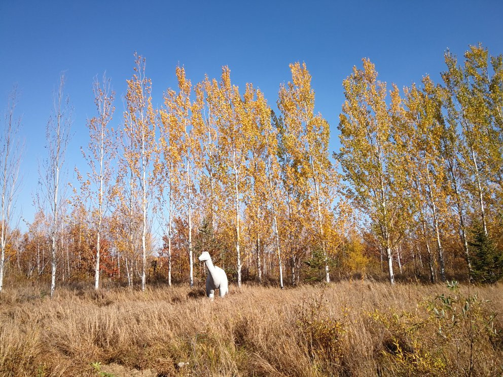 嘉荫恐龙国家地质公园