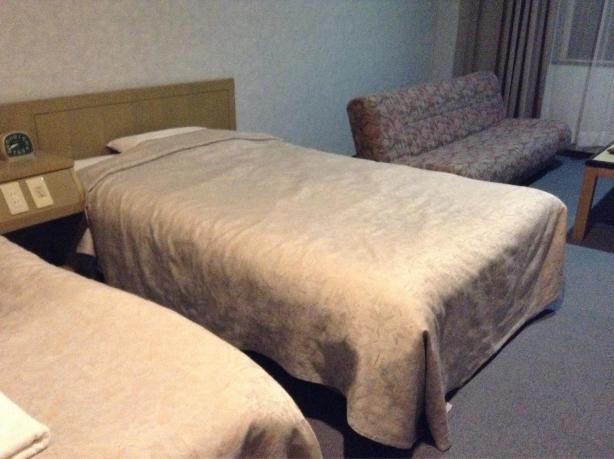 布兰克山景温泉酒店-客卧