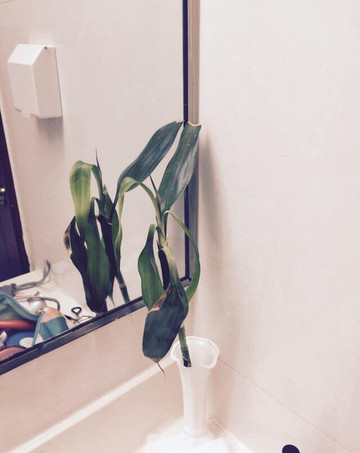 人民大会堂宾馆主图