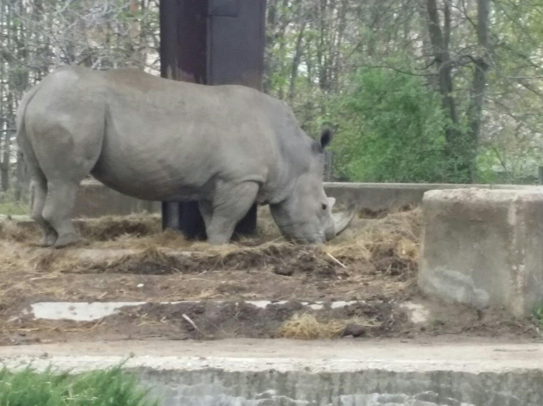 Zoo Sofia景点图片