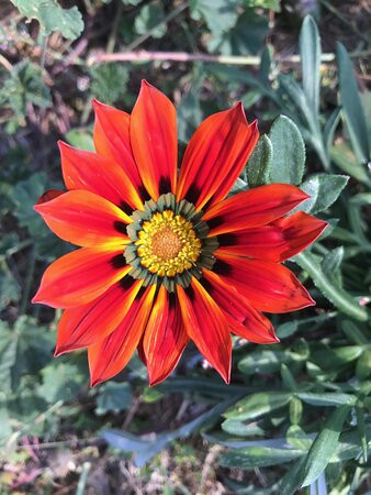 St Augustine's Anglican Church-Inglewood必去景点