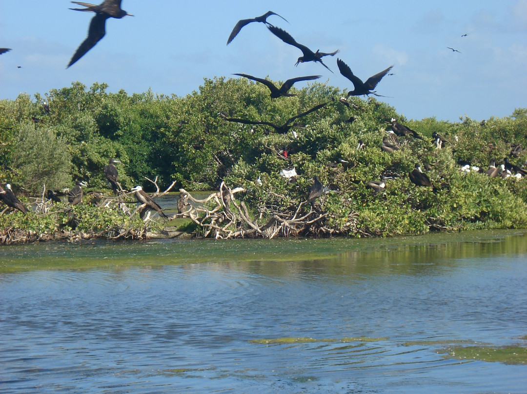 Frigate Bird Sanctuary景点图片