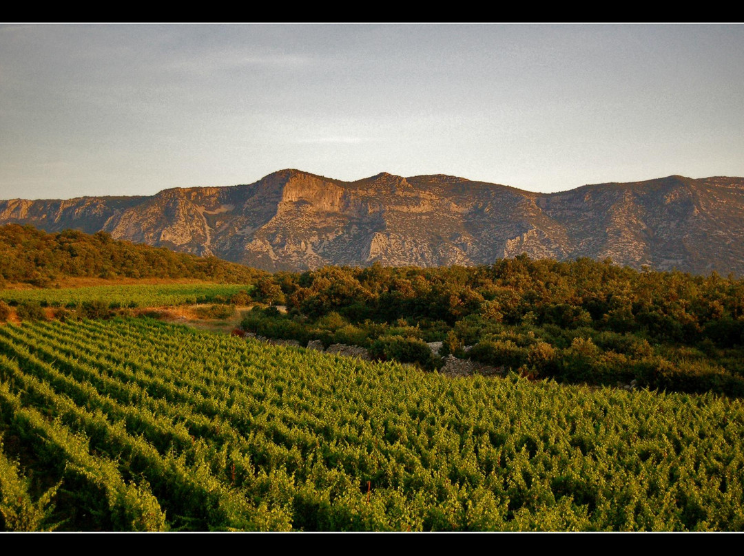 Domaine De Brunet-Causse de la Selle必去景点