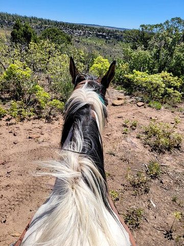 Mountain Joe's Trail Rides-La Sal必去景点