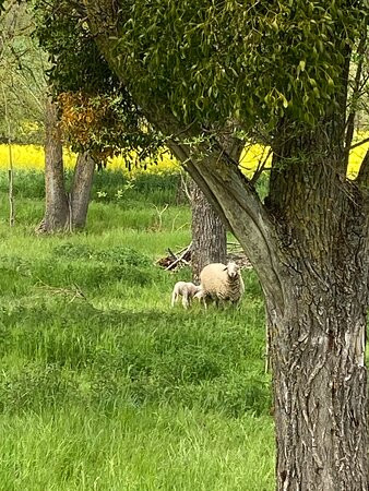 Ferme Fortifiée De Ville-au-val-Millery必去景点