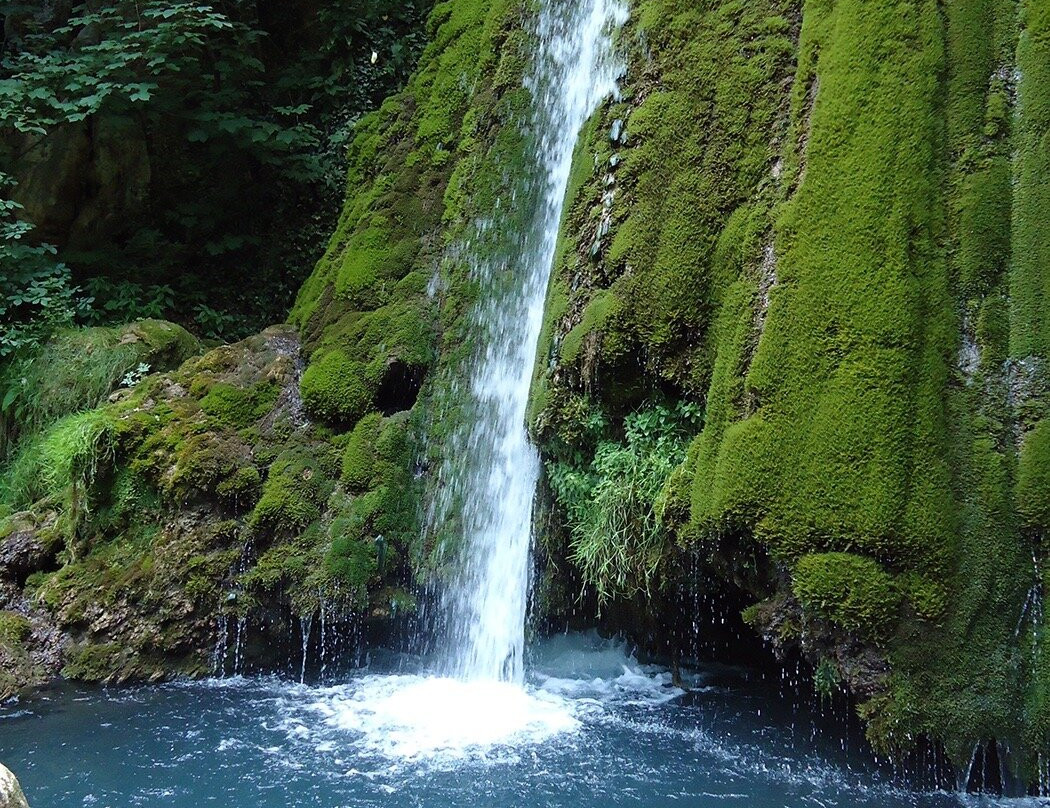 Vadu Crisului Waterfall景点图片
