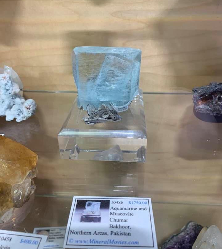 Into The Woods Store