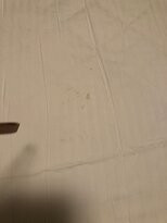 Jackson Gore Inn主图