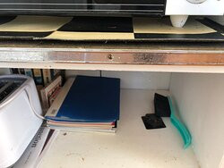 Pakiri Beach Horse Rides - Day Tours-韦尔斯福德必去景点