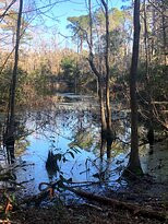 Vereen Memorial Historical Gardens-Little River必去景点
