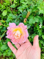 Đak Nong Eco Farm-Gia Nghia必去景点