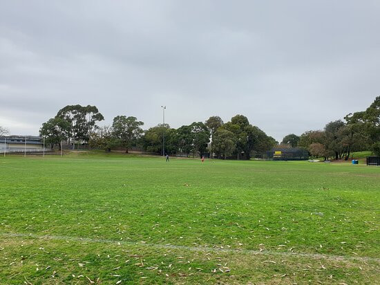 Ferndale Park景点图片