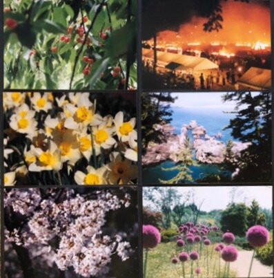 House of Wessex International-Glen Innes必去景点