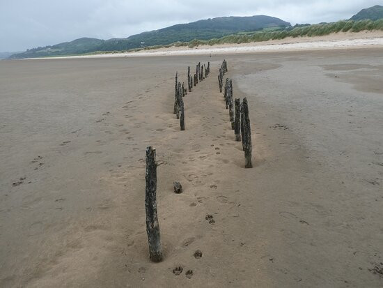 Mersehead Nature Reserve-Dalbeattie必去景点
