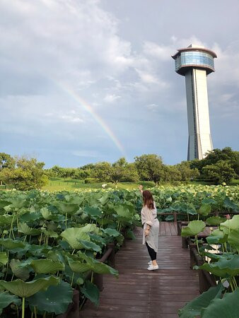 Kodai Hasunosato-行田市必去景点