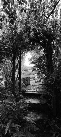 Llwyngarreg Garden景点图片