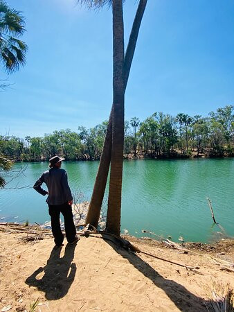 Mataranka Falls-Mataranka必去景点