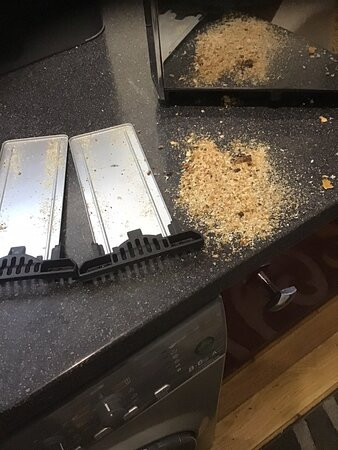 Bruneswold Coach House & Lodge主图