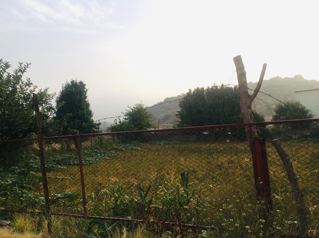 Al Namas旅游攻略图片