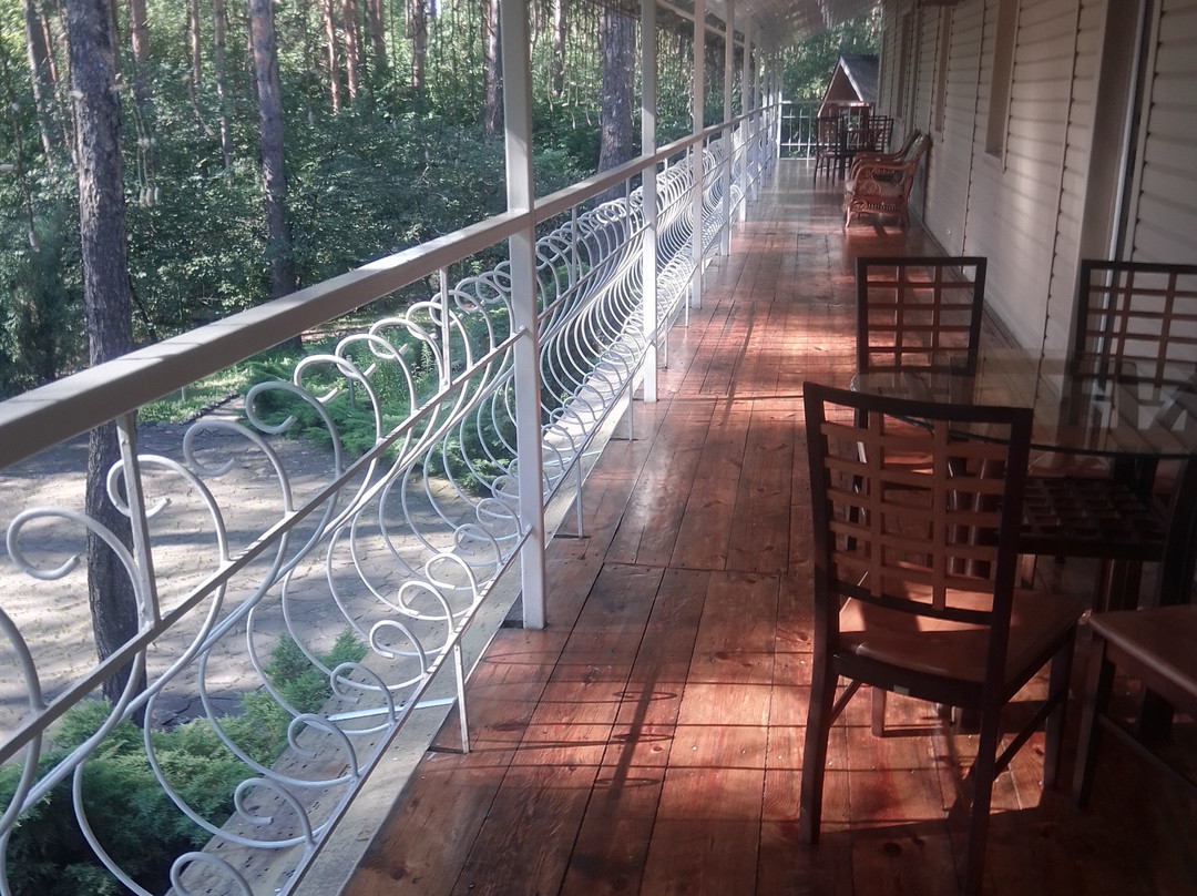 Forest Hotel