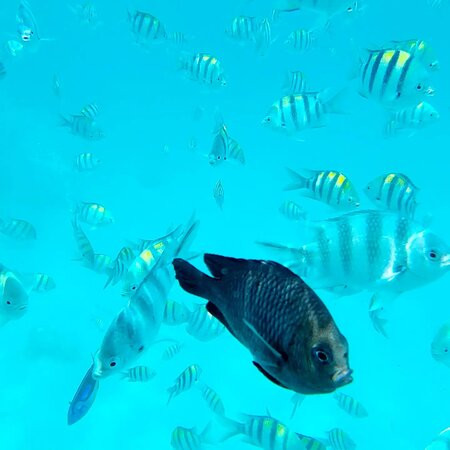 Zancruise Tours & Travel-桑给巴尔市必去景点