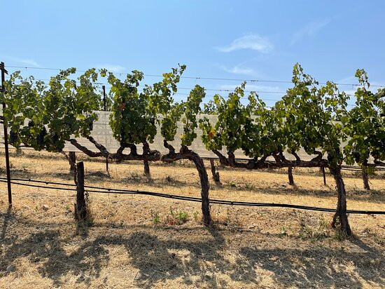Quintessa Winery景点图片