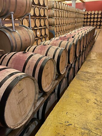 Argiolas Winery-Serdiana必去景点