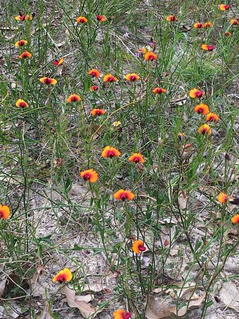 GoGo Active Tours & Events-珀斯必去景点