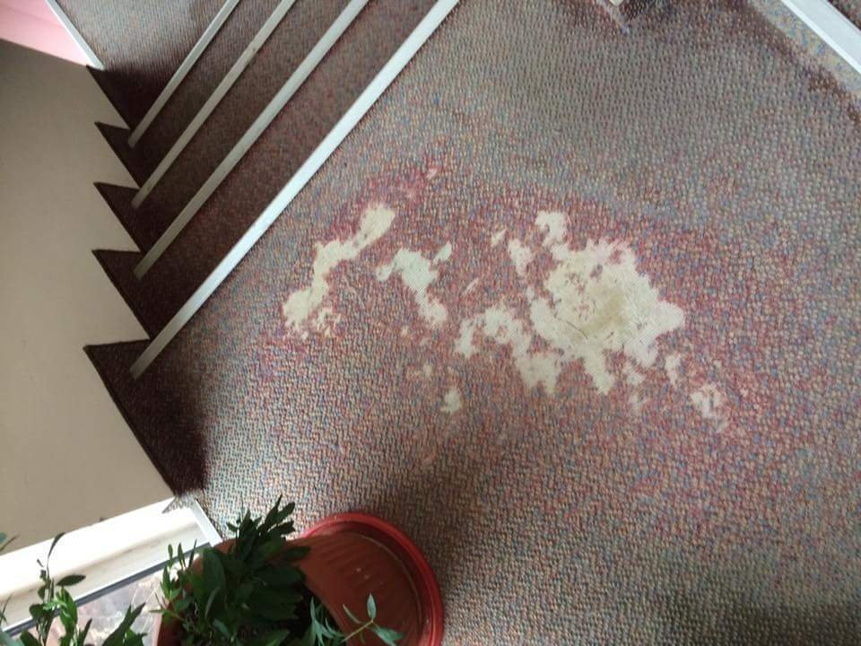 Hotel Alexander主图