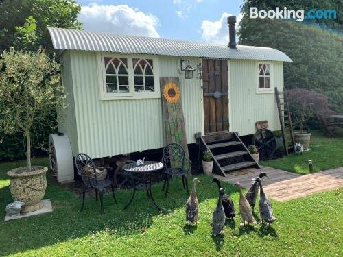The Tin Hut