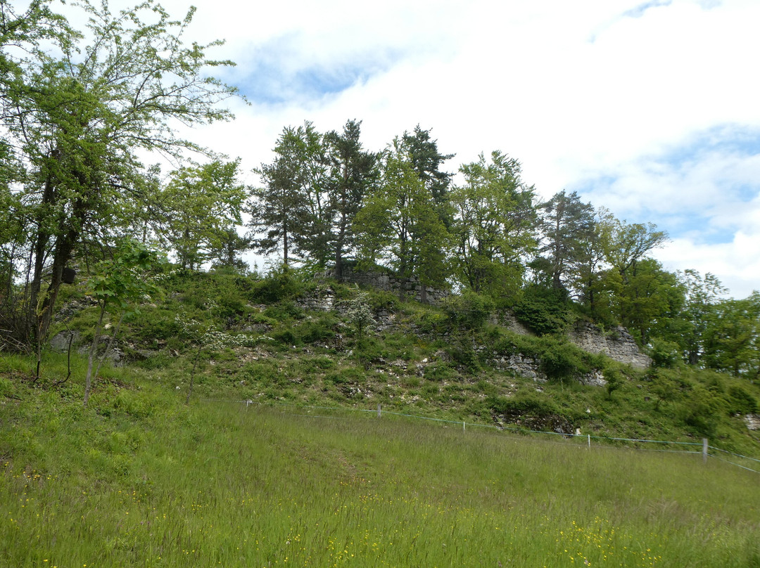 Ruine Frohberg景点图片