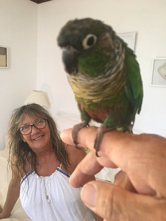 Billabong Cottage主图