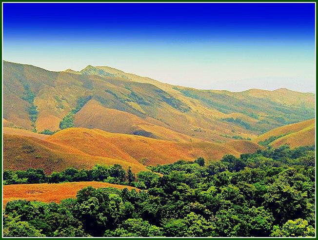 Kudremukh National Park景点图片