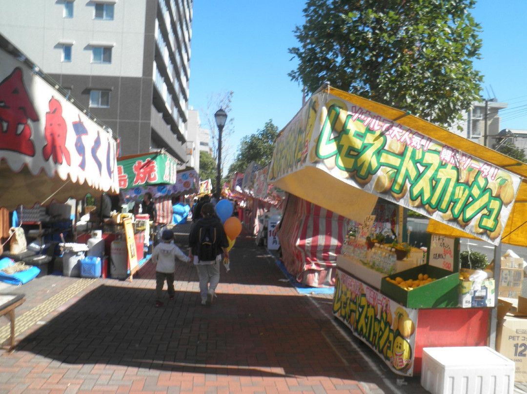 Sakai Matsuri