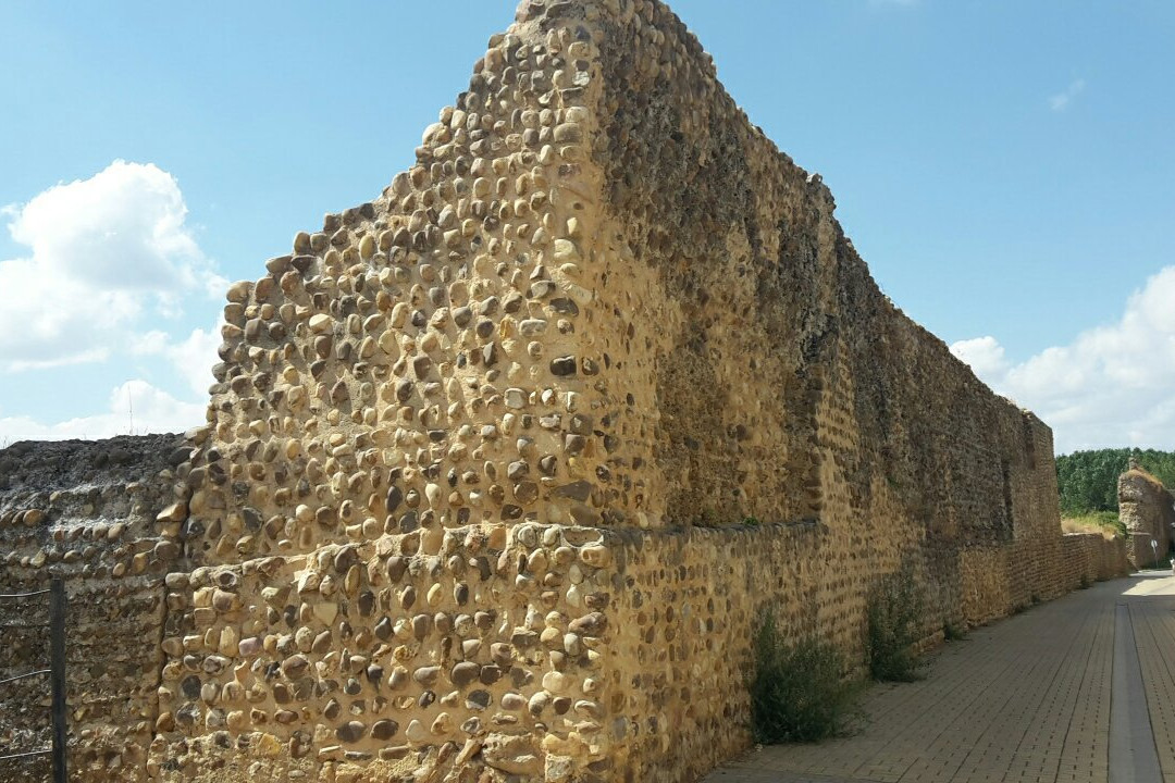 Mansilla de las Mulas旅游攻略图片