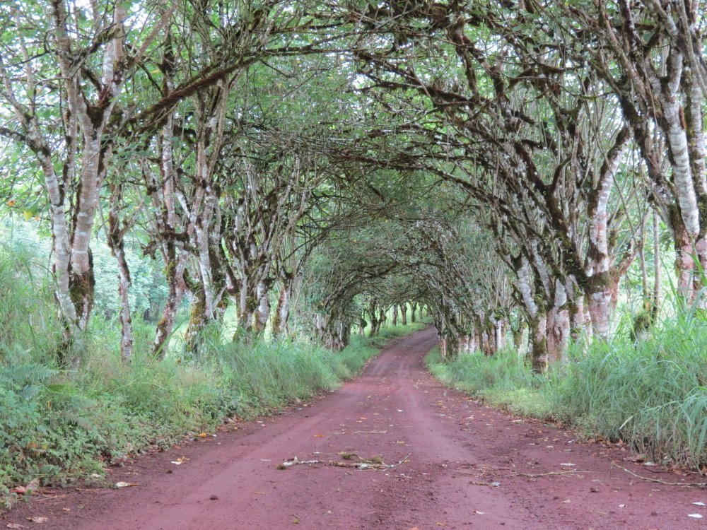 Santa Cruz Island-圣克鲁斯必去景点