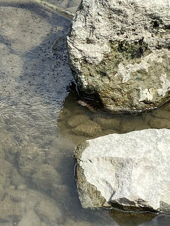 Englewood Metro Park-Vandalia必去景点