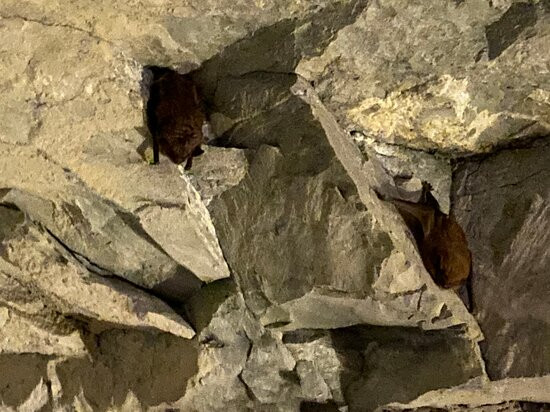 Caverns At Natural Bridge-天然桥必去景点