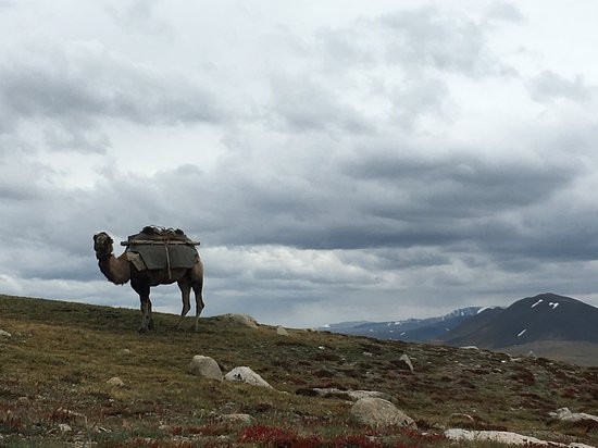 Golden Eagle Tour-Olgiy必去景点