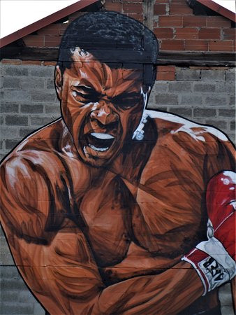 Fresque Muhammad Ali景点图片