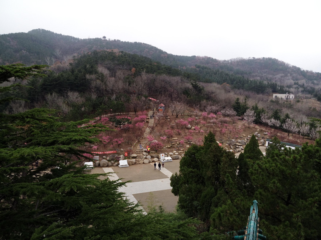 烟台大南山景点图片