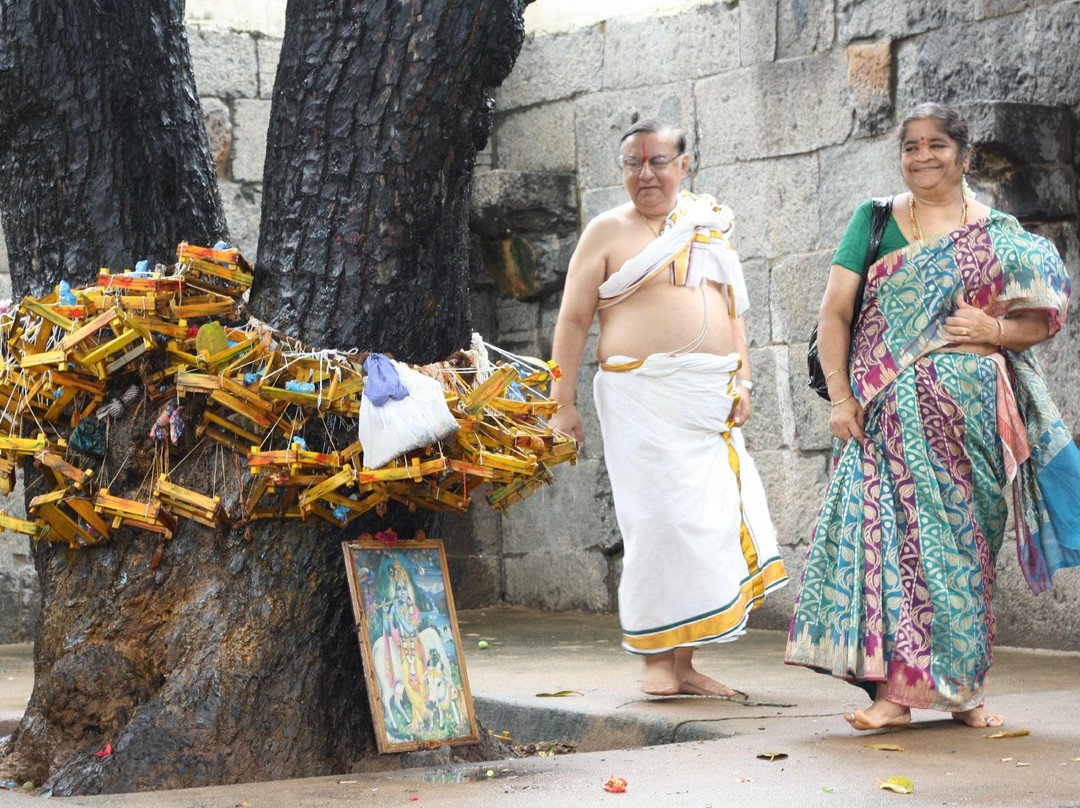 Nitya Kalyana Perumal Temple景点图片