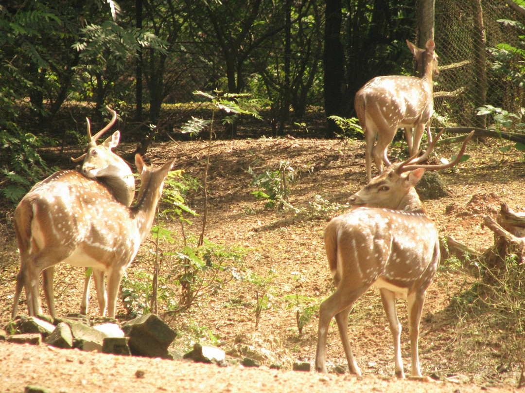 Ballavpur Wildlife Sanctuary景点图片
