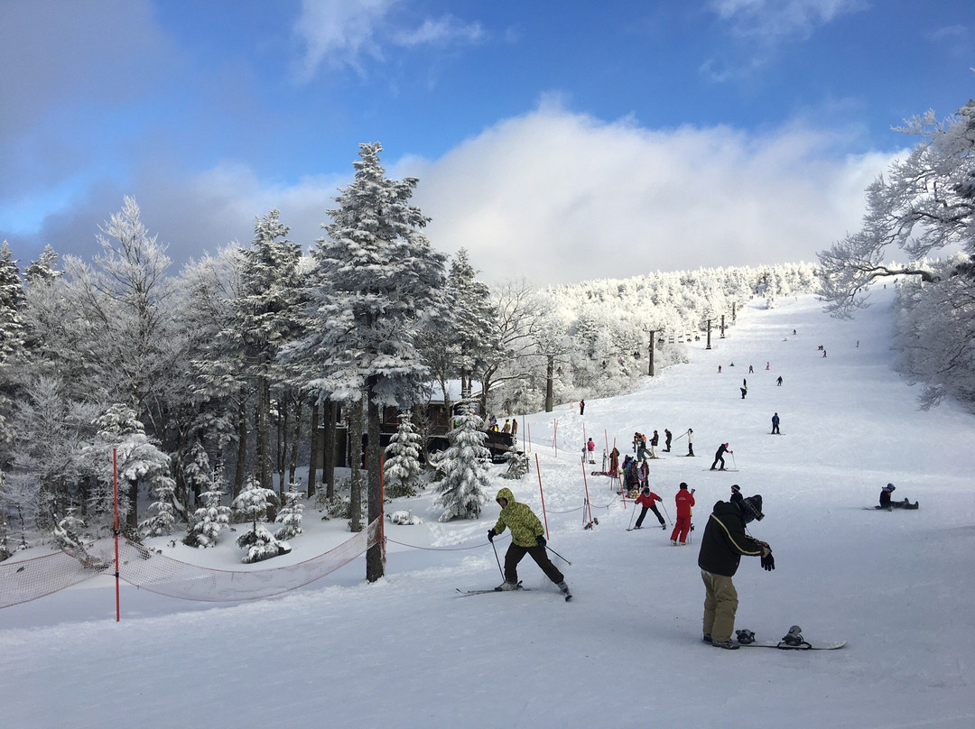 Yamagata Zao Onsen Ski Resort景点图片