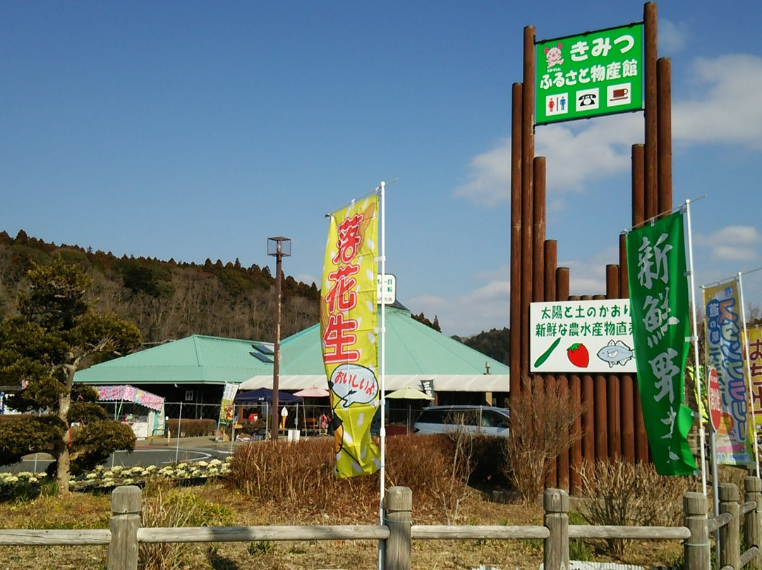 Michi-no-Eki Fureai Park Kimitsu景点图片